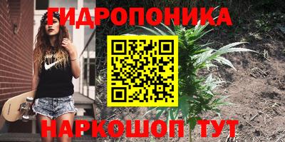 стаф Лесосибирск